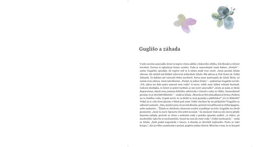 GUGALISO CHILDRENS BOOK